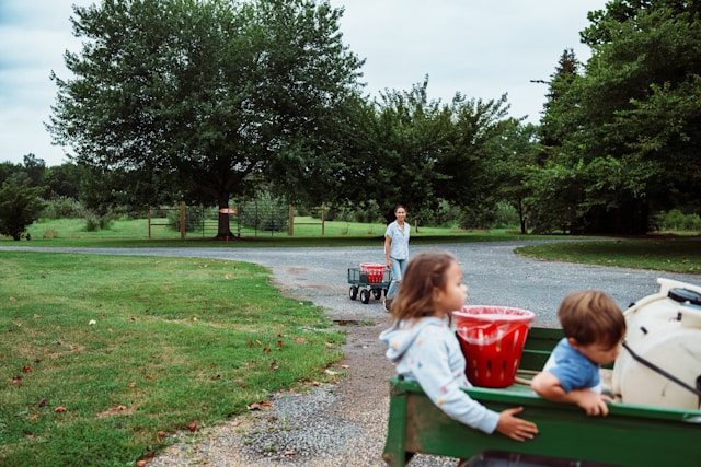 反指纹浏览器有什么用？与传统浏览器有什么不同？新用户必看！